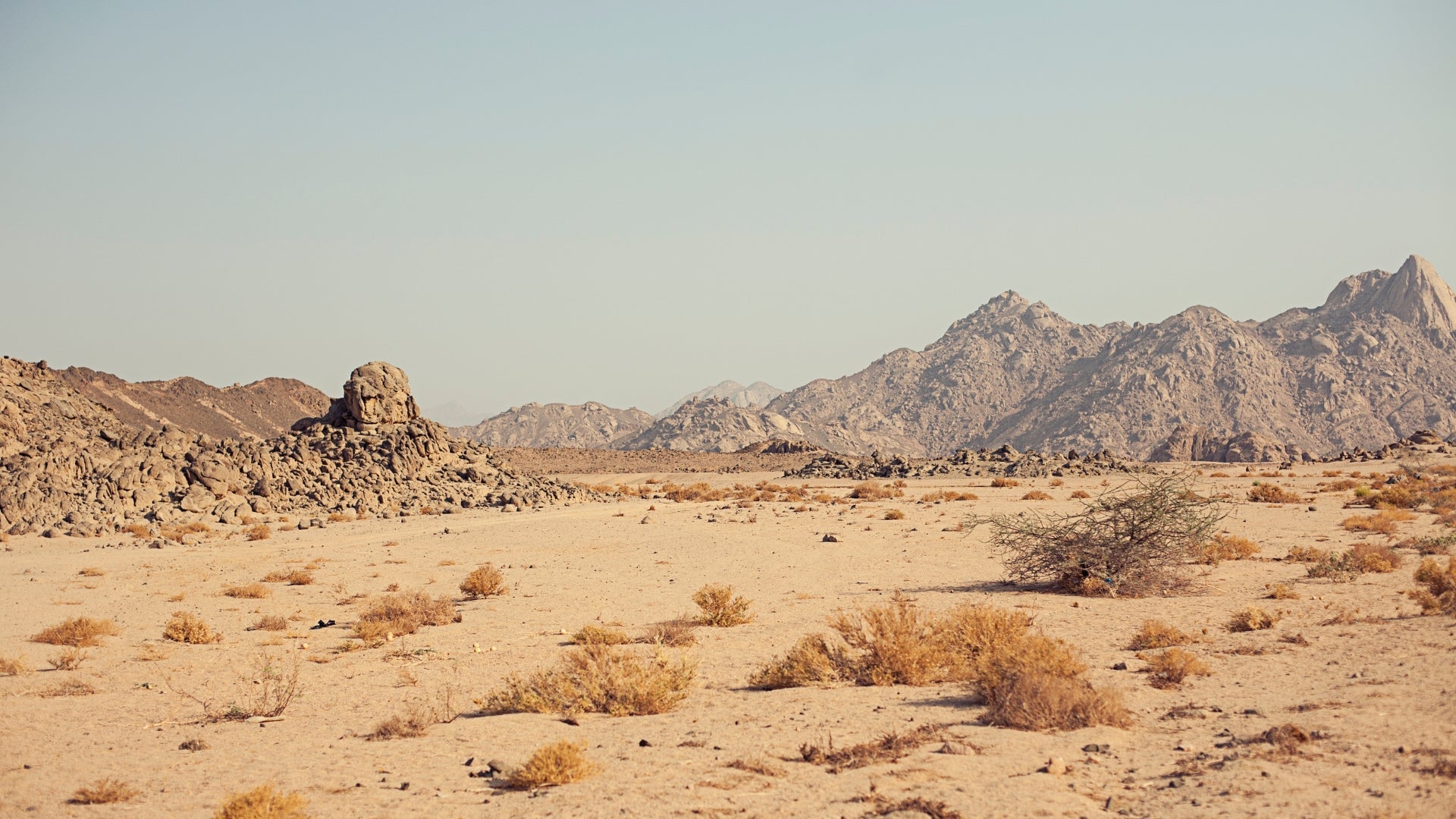 Desert Heat