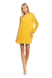 One Long Sleeve Braided Trim Sleeve A-line Dress