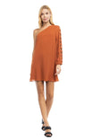One Long Sleeve Braided Trim Sleeve A-line Dress