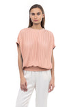 Sheer Pleated Dolman Sleeve Blouse