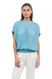 Sheer Pleated Dolman Sleeve Blouse
