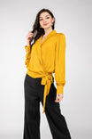 Surplice Lapel Tie Blouse With Balloon Sleeves