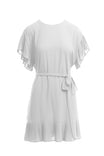 Pleated Ruffle Sleeve Drop Shoulder Dress