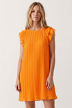 Flutter Sleeve Pleated Mini Dress