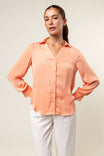 Classic V-Neck Button Down Blouse - SP