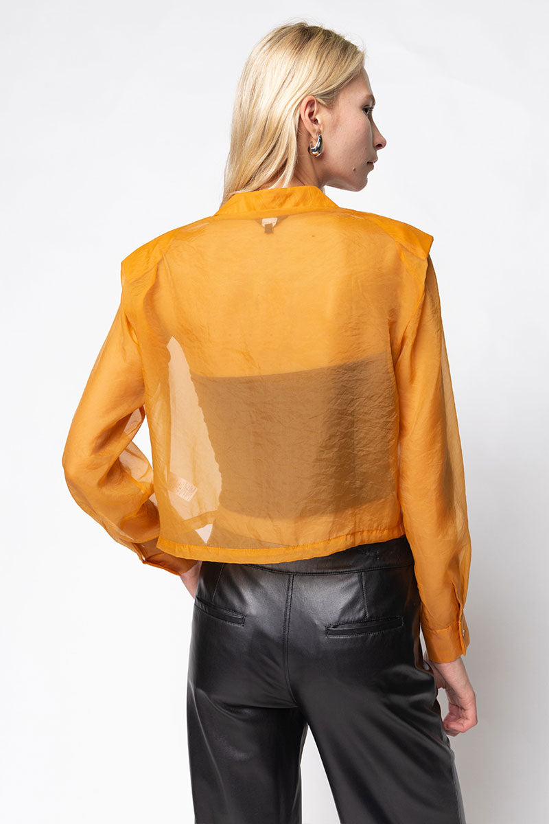 Sheer Button Down Blouse With Shoulder Pads – Naked Zebra