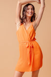 Pleated Chiffon Dress